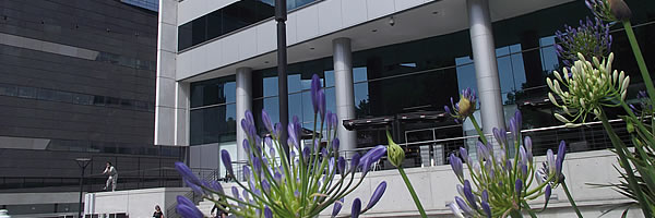 Servicio de Limpieza de Grandes Superficies en Montevideo